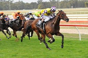 Mott solid as a rock at Seymour
